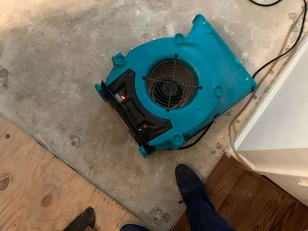Air mover drying subfloor during Commercial Water Damage Restoration in Port Orchard